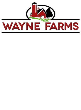 https://s3.us-west-1.wasabisys.com/ecart-content/verycooltshirts.com/overlays/402/279/40227934.png img