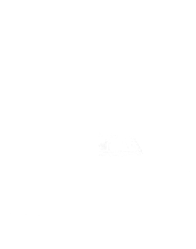 https://s3.us-west-1.wasabisys.com/ecart-content/verycooltshirts.com/overlays/402/318/40231862.png img