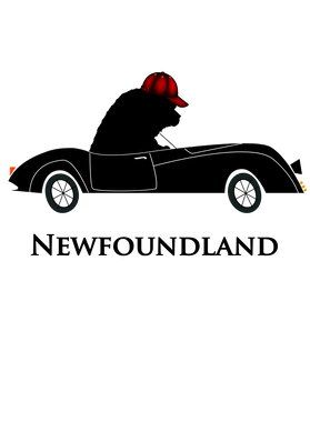 https://s3.us-west-1.wasabisys.com/ecart-content/verycooltshirts.com/overlays/402/615/40261538.png img