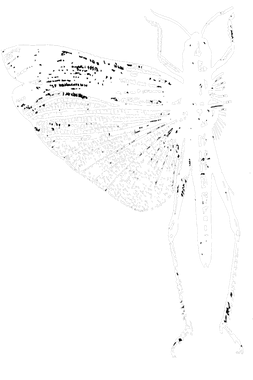 https://s3.us-west-1.wasabisys.com/ecart-content/verycooltshirts.com/overlays/402/632/40263235.png img