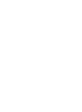 https://s3.us-west-1.wasabisys.com/ecart-content/verycooltshirts.com/overlays/402/632/40263270.png img
