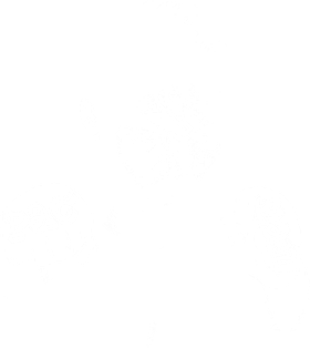 https://s3.us-west-1.wasabisys.com/ecart-content/verycooltshirts.com/overlays/403/072/40307247.png img