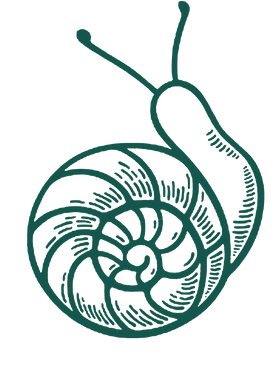 https://s3.us-west-1.wasabisys.com/ecart-content/verycooltshirts.com/overlays/403/100/40310009.png img