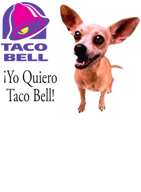 https://s3.us-west-1.wasabisys.com/ecart-content/verycooltshirts.com/overlays/403/126/40312635.png img