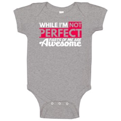 While I'm Not Perfect Parts Of Me Are Awesome Funny Worn Look Baby One While I'm Not Perfect Parts Of Me Are Awesome Funny Worn Look Baby One