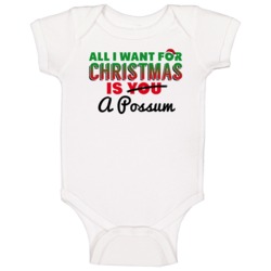 All I Want For Christmas Is A Possum Funny Cute Holiday Gift Baby One All I Want For Christmas Is A Possum Funny Cute Holiday Gift Baby One