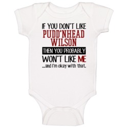 If You Don' T Like Pudd'nhead Wilson You Won't Like Me Novel Character