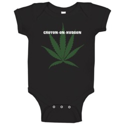 Croton-on-hudson Westchester County New York State Weed Marijuana Baby Croton-on-hudson Westchester County New York State Weed Marijuana Baby
