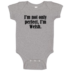 Not Only Perfect I'm Welsh Funny Nationality Baby One Piece Not Only Perfect I'm Welsh Funny Nationality Baby One Piece