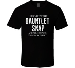 I Survived The Gauntlet Snap And All I Got Was This Lousy T Shirt Aven I Survived The Gauntlet Snap And All I Got Was This Lousy T Shirt Aven