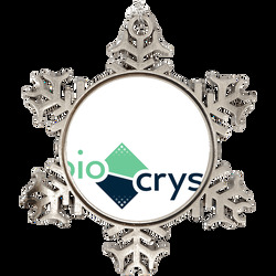 Biocryst Pharmaceuticals Nasdaq Company Logo Employee Fan Holiday Orna Biocryst Pharmaceuticals Nasdaq Company Logo Employee Fan Holiday Orna