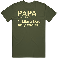 Papa Dictionary Like A Dad T Shirt