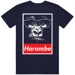 Harambe Gorilla Rip Tribute Hope Style T Shirt