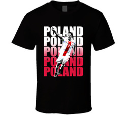 Robert Lewandowski Team Poland Colors Euro European Cup Soccer Football T Shirt