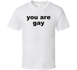 You Are Gay Funny T Shirt You Are Gay Funny T Shirt