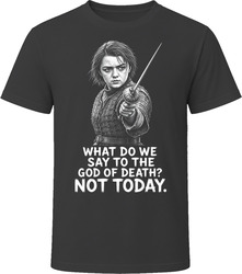 Arya Stark Not Today Iconic TV Quote T Shirt Arya Stark Not Today Iconic TV Quote T Shirt