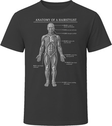 Anatomy of a Hairstylist Funny Hairstylist T Shirt Anatomy of a Hairstylist Funny Hairstylist T Shirt