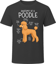 Anatomy of a Poodle Funny Poodle Dog Lover Gift T-Shirt Anatomy of a Poodle Funny Poodle Dog Lover Gift T-Shirt