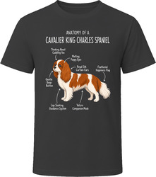 Anatomy of a Cavalier King Charles Spaniel Funny Cavalier King Charles Spaniel Dog Lover Gift T-Shirt Anatomy of a Cavalier King Charles Spaniel Funny Cavalier King Charles Spaniel Dog Lover Gift T-Shirt