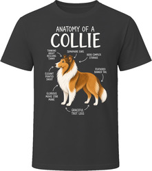 Anatomy of a Collie Funny Collie Dog Lover Gift T-Shirt Anatomy of a Collie Funny Collie Dog Lover Gift T-Shirt