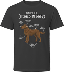 Anatomy of a Chesapeake Bay Retriever Funny Chesapeake Bay Retriever Dog Lover Gift T-Shirt