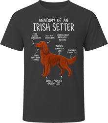 Anatomy of an Irish Setter Funny Irish Setter Dog Lover Gift T-Shirt