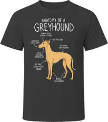 Anatomy of a Greyhound Funny Greyhound Dog Lover Gift T-Shirt Anatomy of a Greyhound Funny Greyhound Dog Lover Gift T-Shirt