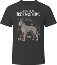 Anatomy of an Irish Wolfhound Funny Irish Wolfhound Dog Lover Gift T-Shirt Anatomy of an Irish Wolfhound Funny Irish Wolfhound Dog Lover Gift T-Shirt