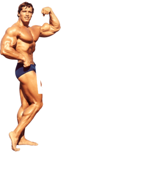 https://s3.us-west-1.wasabisys.com/ecart-content/wonderfulshirts.com/overlays/361/000/36100032.png img