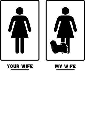 https://s3.us-west-1.wasabisys.com/ecart-content/wonderfulshirts.com/overlays/362/817/36281741.png img