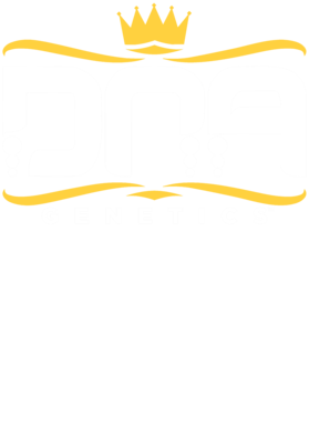 https://s3.us-west-1.wasabisys.com/ecart-content/wonderfulshirts.com/overlays/363/377/36337775.png img