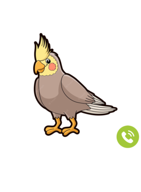 https://s3.us-west-1.wasabisys.com/ecart-content/wonderfulshirts.com/overlays/395/646/39564628.png img