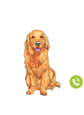 https://s3.us-west-1.wasabisys.com/ecart-content/wonderfulshirts.com/overlays/395/662/39566281.png img