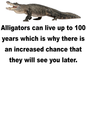 https://s3.us-west-1.wasabisys.com/ecart-content/wonderfulshirts.com/overlays/397/807/39780719.png img