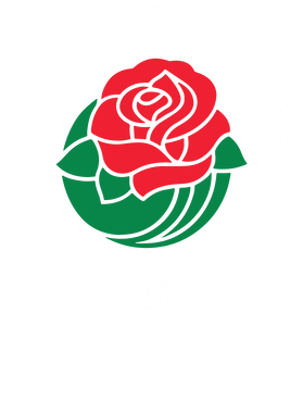 https://s3.us-west-1.wasabisys.com/ecart-content/wonderfulshirts.com/overlays/399/622/39962213.png img