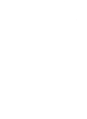 https://s3.us-west-1.wasabisys.com/ecart-content/wonderfulshirts.com/overlays/400/098/40009865.png img