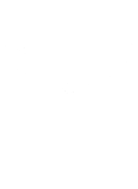 https://s3.us-west-1.wasabisys.com/ecart-content/wonderfulshirts.com/overlays/400/113/40011360.png img