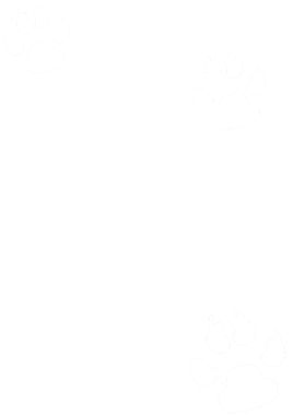 https://s3.us-west-1.wasabisys.com/ecart-content/wonderfulshirts.com/overlays/400/120/40012084.png img