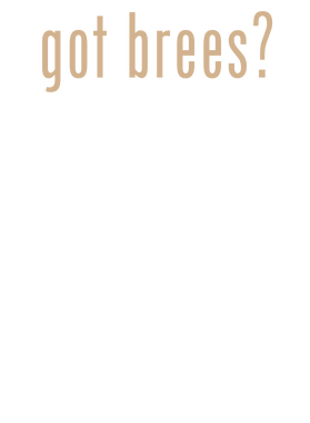 https://s3.us-west-1.wasabisys.com/ecart-content/wonderfulshirts.com/overlays/400/125/40012520.png img