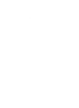 https://s3.us-west-1.wasabisys.com/ecart-content/wonderfulshirts.com/overlays/400/149/40014959.png img