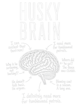 https://s3.us-west-1.wasabisys.com/ecart-content/wonderfulshirts.com/overlays/403/924/40392477.png img
