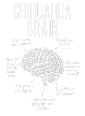https://s3.us-west-1.wasabisys.com/ecart-content/wonderfulshirts.com/overlays/403/924/40392483.png img