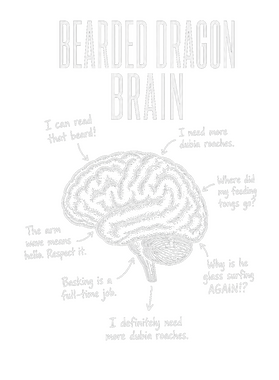 https://s3.us-west-1.wasabisys.com/ecart-content/wonderfulshirts.com/overlays/403/924/40392497.png img