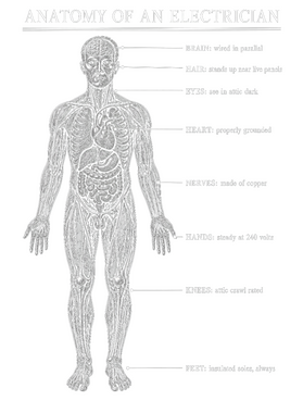 https://s3.us-west-1.wasabisys.com/ecart-content/wonderfulshirts.com/overlays/403/927/40392799.png img