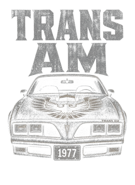 https://s3.us-west-1.wasabisys.com/ecart-content/wonderfulshirts.com/overlays/403/929/40392976.png img