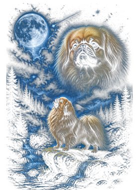 https://s3.us-west-1.wasabisys.com/ecart-content/wonderfulshirts.com/overlays/403/931/40393106.png img