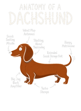 https://s3.us-west-1.wasabisys.com/ecart-content/wonderfulshirts.com/overlays/403/931/40393135.png img