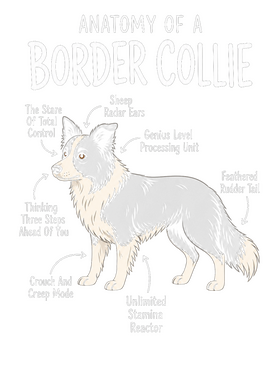 https://s3.us-west-1.wasabisys.com/ecart-content/wonderfulshirts.com/overlays/403/931/40393159.png img