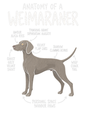 https://s3.us-west-1.wasabisys.com/ecart-content/wonderfulshirts.com/overlays/403/931/40393169.png img