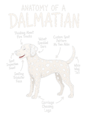 https://s3.us-west-1.wasabisys.com/ecart-content/wonderfulshirts.com/overlays/403/931/40393181.png img